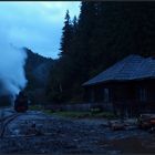 Morgendämmerung in Faina, Valea Vaserului (Rumänische Waldkarpaten)