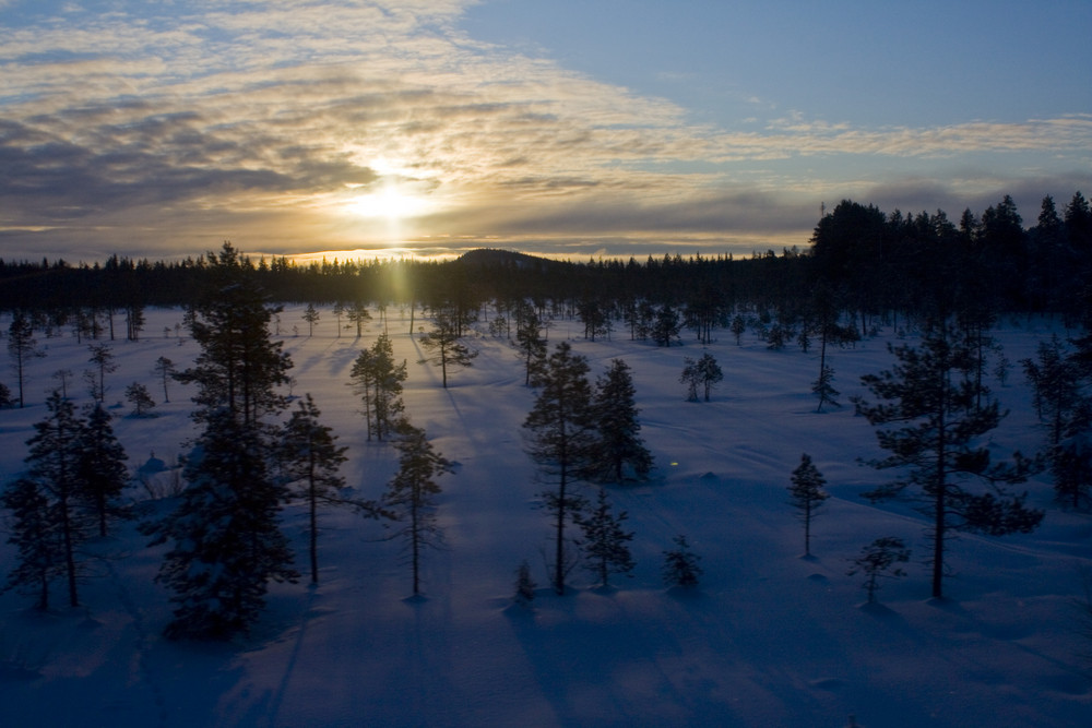 Morgendämmerung in Lappland