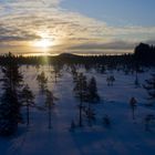 Morgendämmerung in Lappland