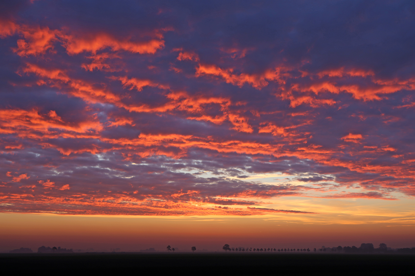 Morgendämmerung in Munnikezijl (NL)