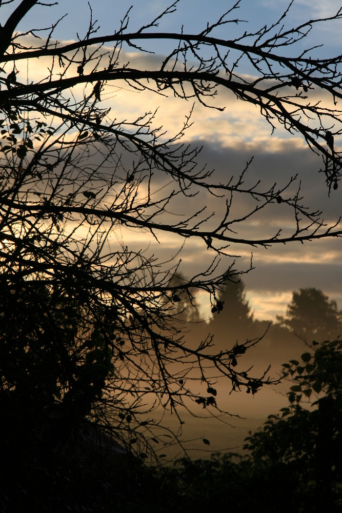 Morgendämmerung in Nebel gehüllt