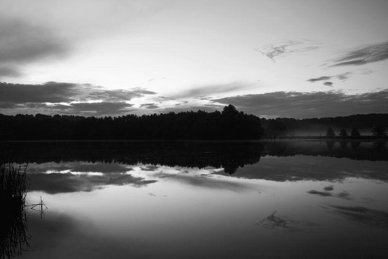 Morgendämmerung in schwarz/weiß