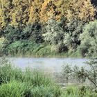 Morgendämmerung Neuenburg am Rhein, Steinenstadt, Oberrhein