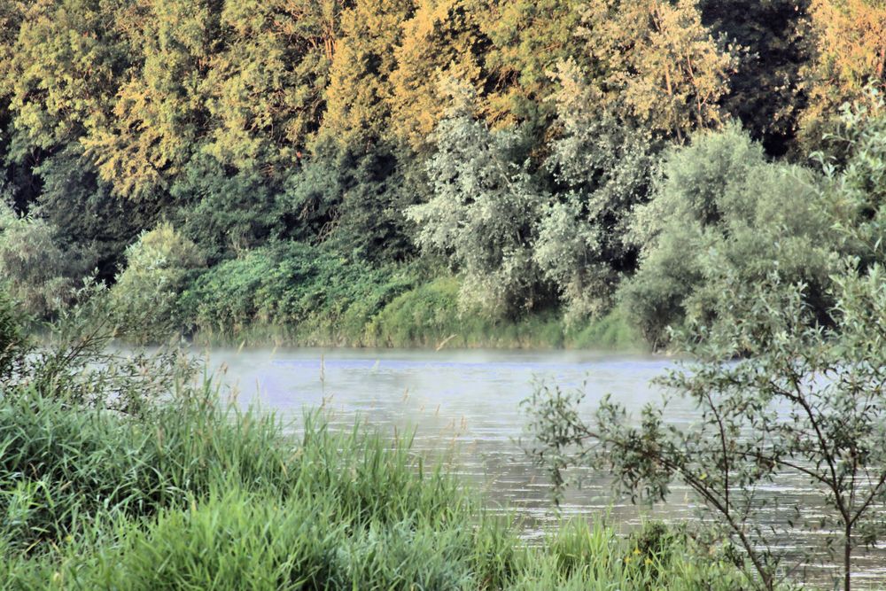 Morgendämmerung Neuenburg am Rhein, Steinenstadt, Oberrhein Foto & Bild ...