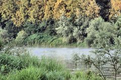 Morgendämmerung Neuenburg am Rhein, Steinenstadt, Oberrhein