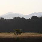 Morgendämmerung Siedlung im Stein, sanftes Markgräfler Hügelland (11. Juli 2015)