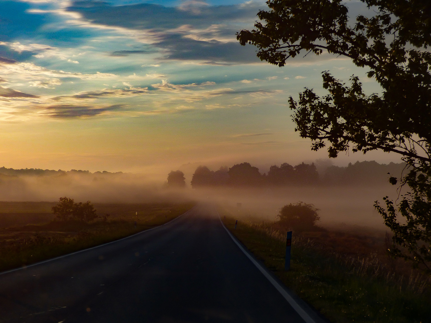 Morgendämmerung / Svítání