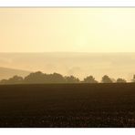 Morgendämmerung über dem Rümpfwald