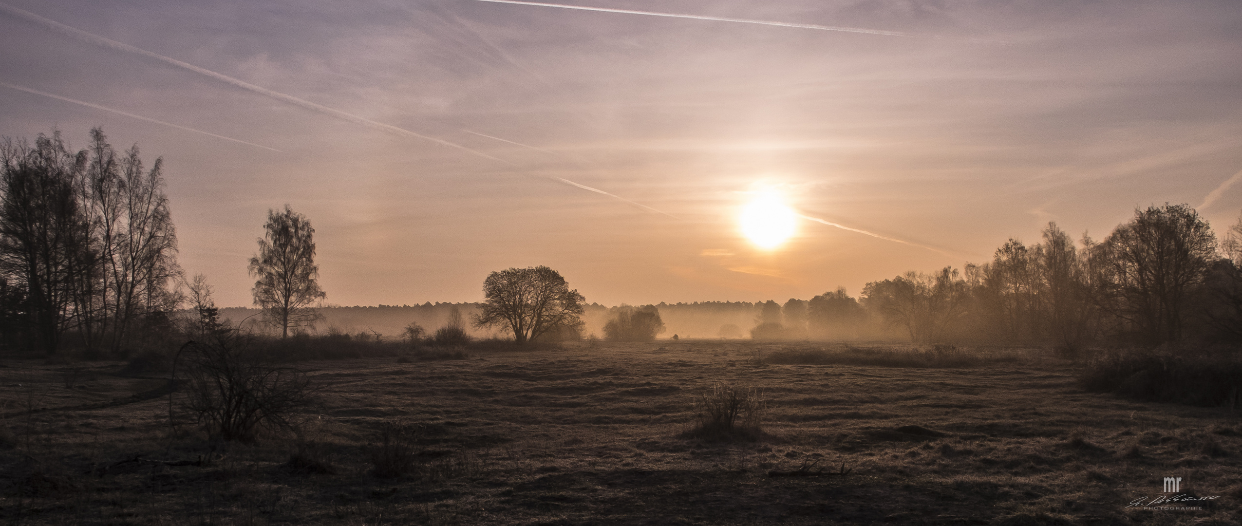 Morgendämmerung2