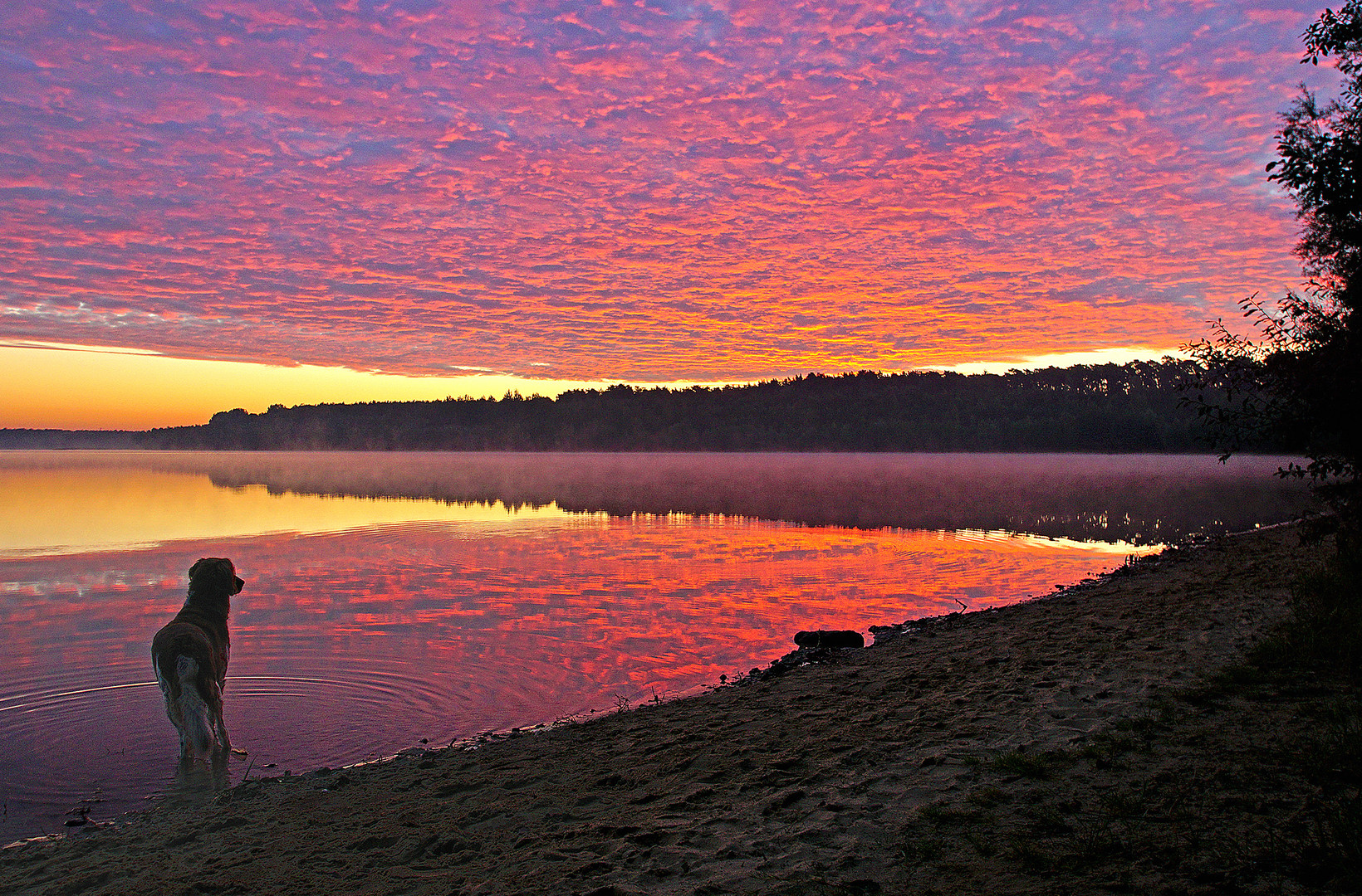 Morgendämmeung am Silbersee lll...