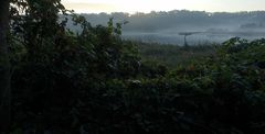 Morgendehnung
