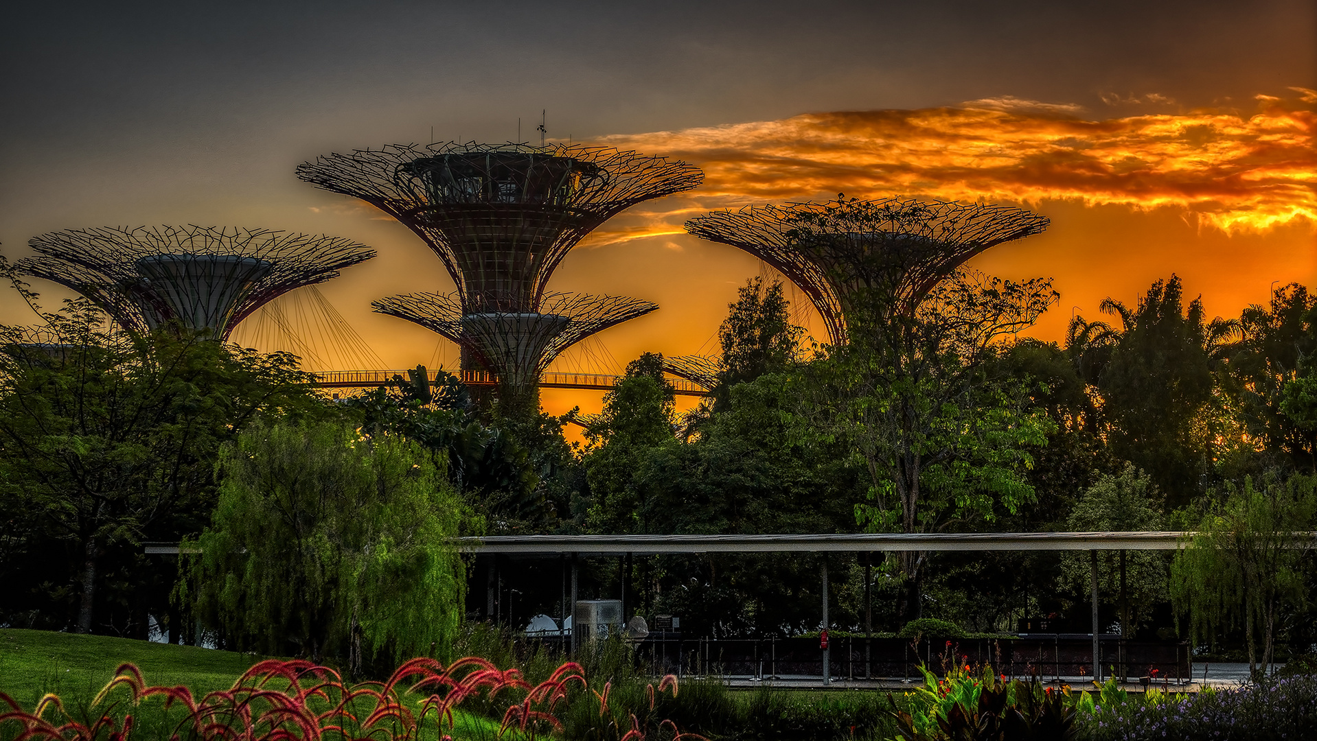 Morgendlicer Spaziergang in Gardens by the Bay (I)