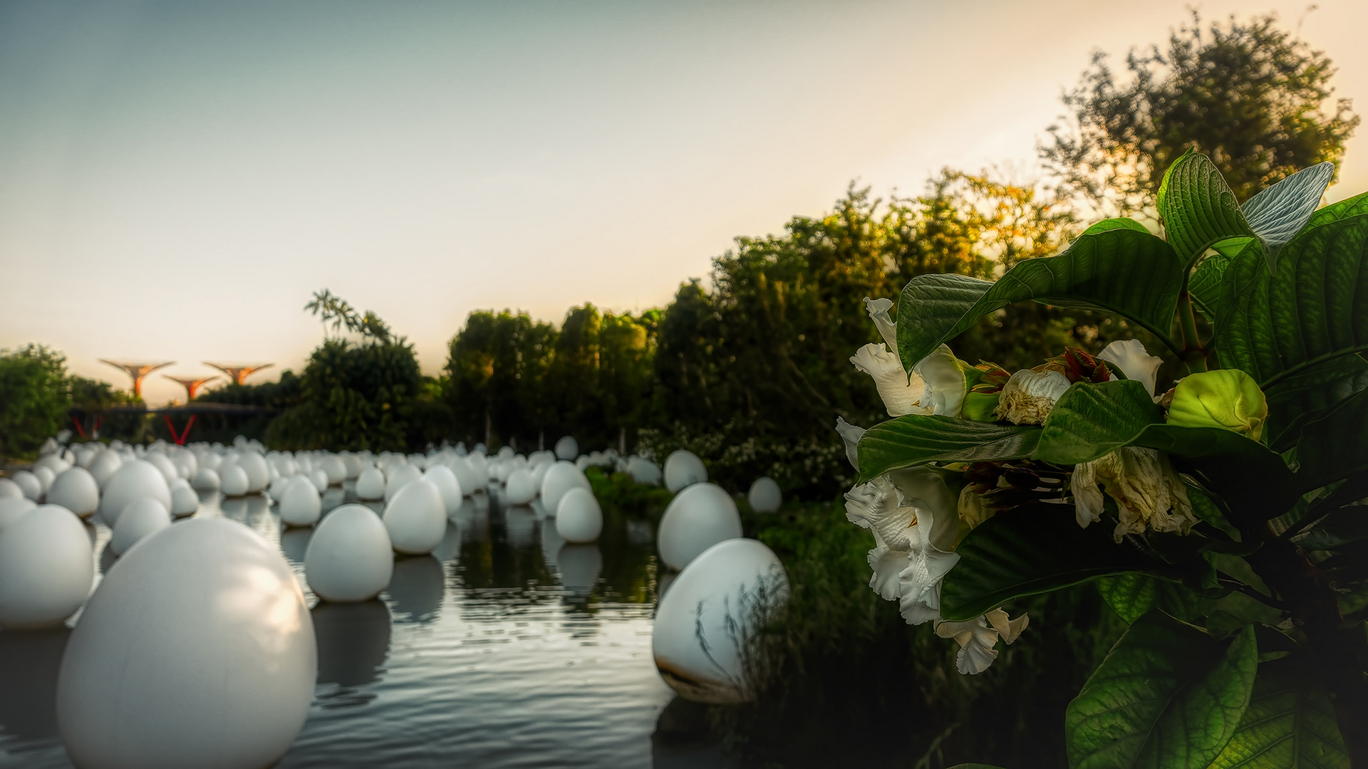 Morgendlicer Spaziergang in Gardens by the Bay (II)