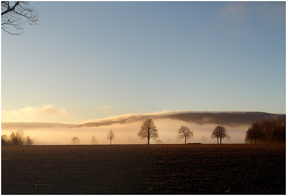 ...morgendlich leuchtend...