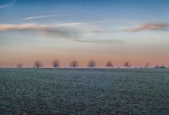 Morgendliche Agrarlandschaft