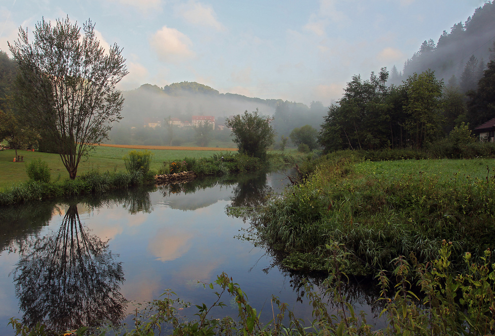 morgendliche Albidylle