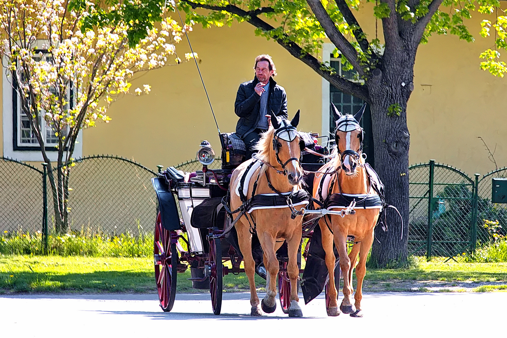 Morgendliche Ausfahrt in den frühlingshaften Wiener Prater