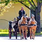 Morgendliche Ausfahrt in den frühlingshaften Wiener Prater