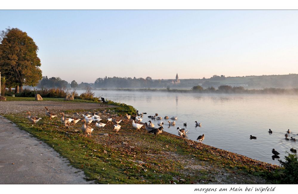 morgendliche Begrüßung....