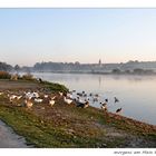 morgendliche Begrüßung....