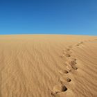 Morgendliche Dünenwanderung bei den Stovepipe Wells