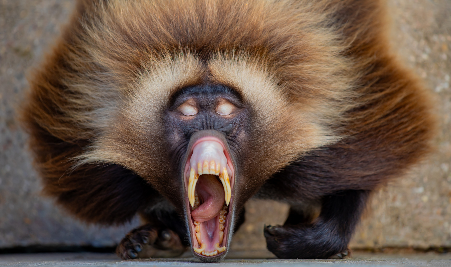 Morgendliche Entspannungsübung in der Wilhelma