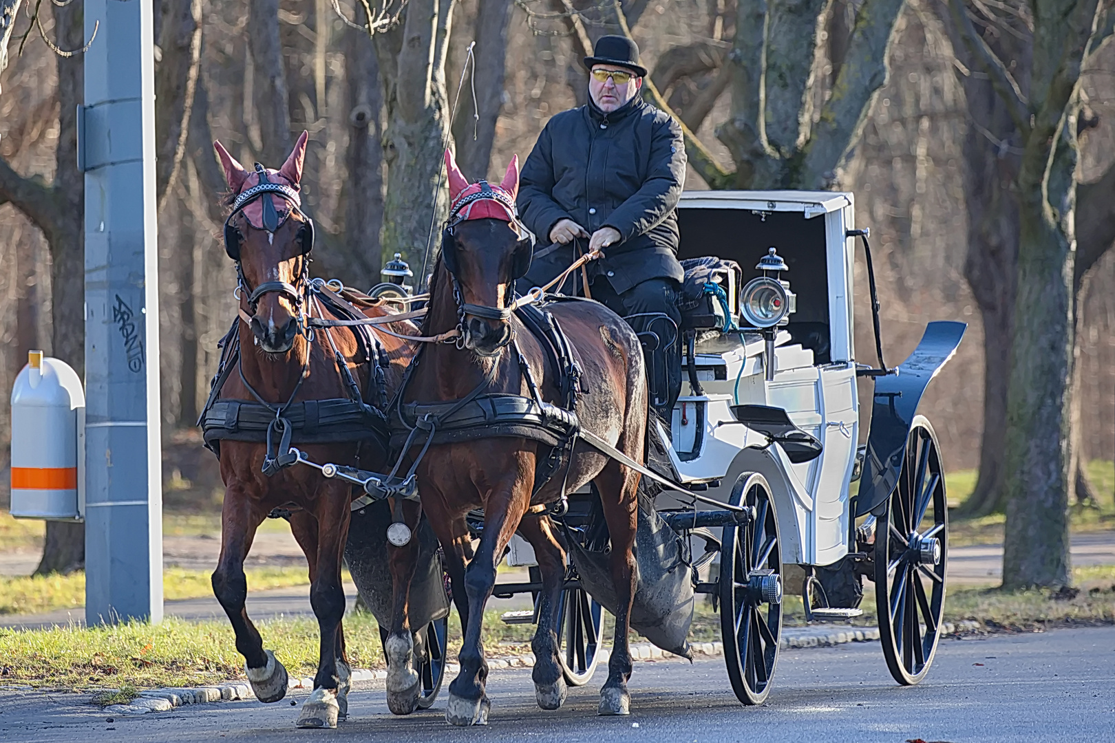 Morgendliche Fiakerfahrt