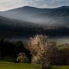 Morgendliche Frühlingsimpresion.