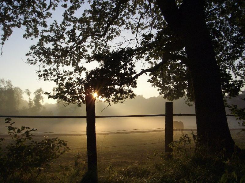 Morgendliche Herbststimmung