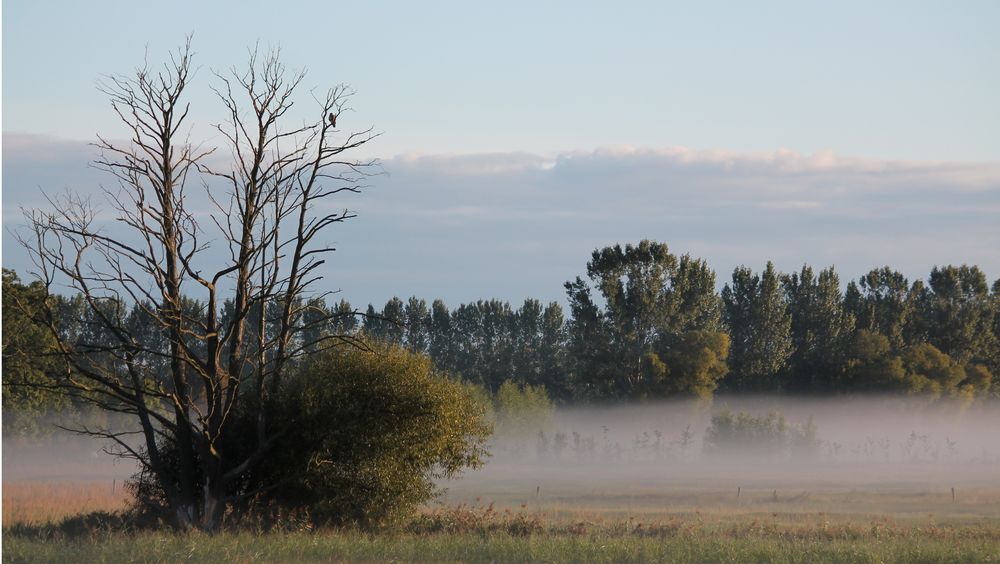 morgendliche Herbststimmung