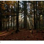 Morgendliche Herbststimmung im Bayrischen Wald