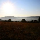 Morgendliche Herbstwiese am Saaletal bei Jena