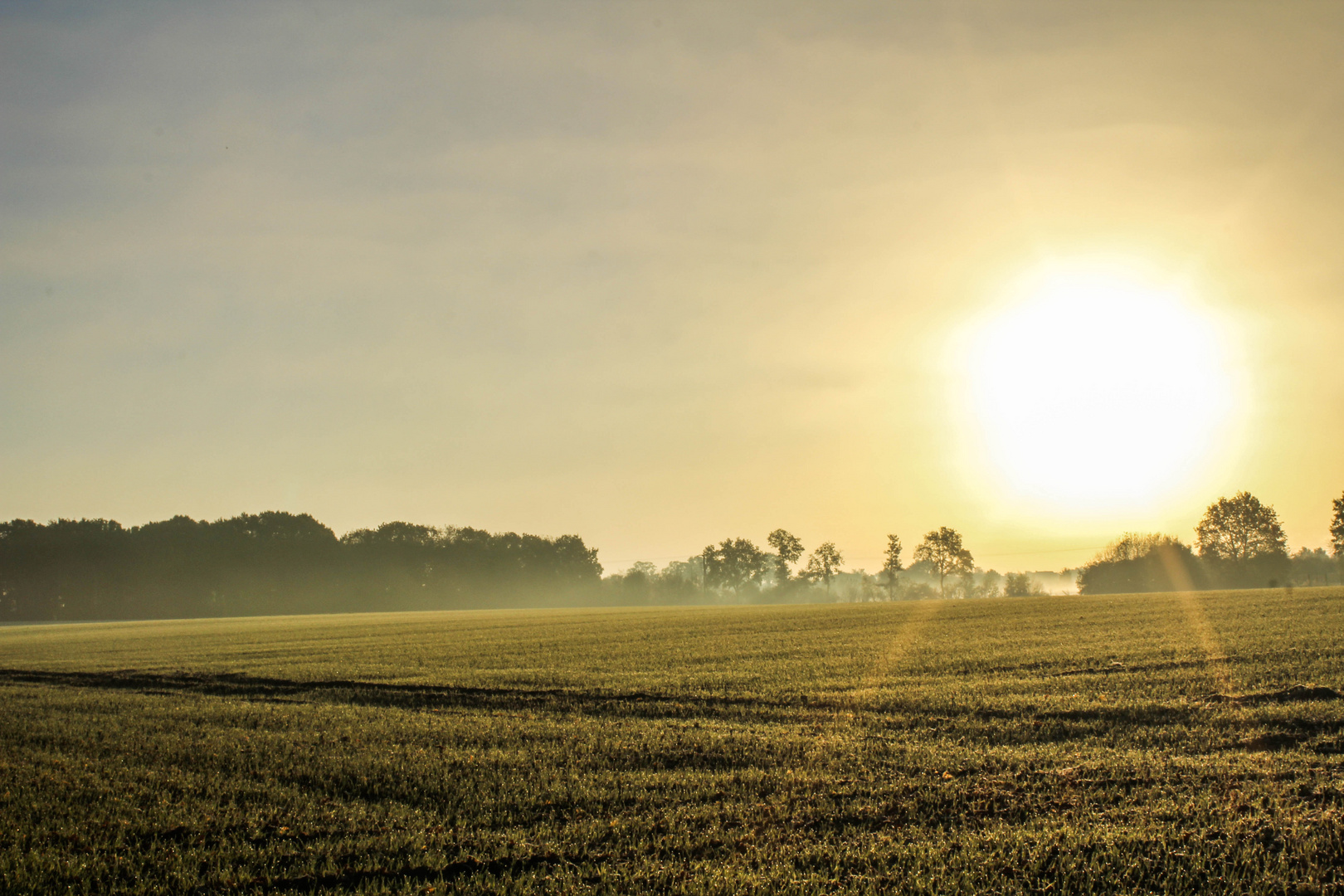 Morgendliche Herbstwiese bei Frost