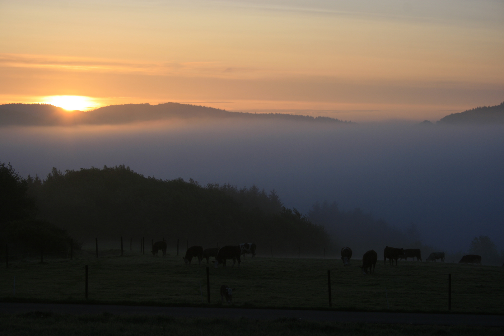 Morgendliche Idylle