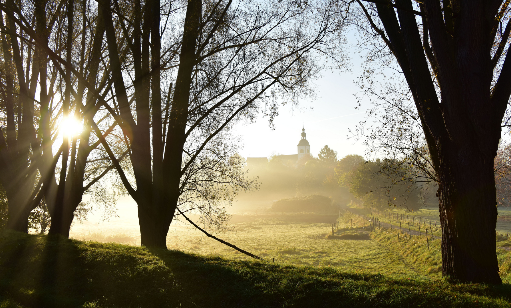 Morgendliche Idylle