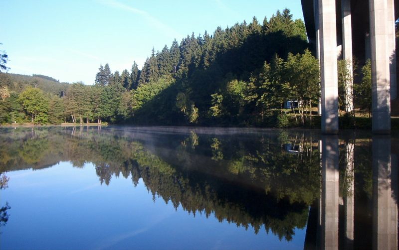 Morgendliche Idylle am Landeskroner Weiher