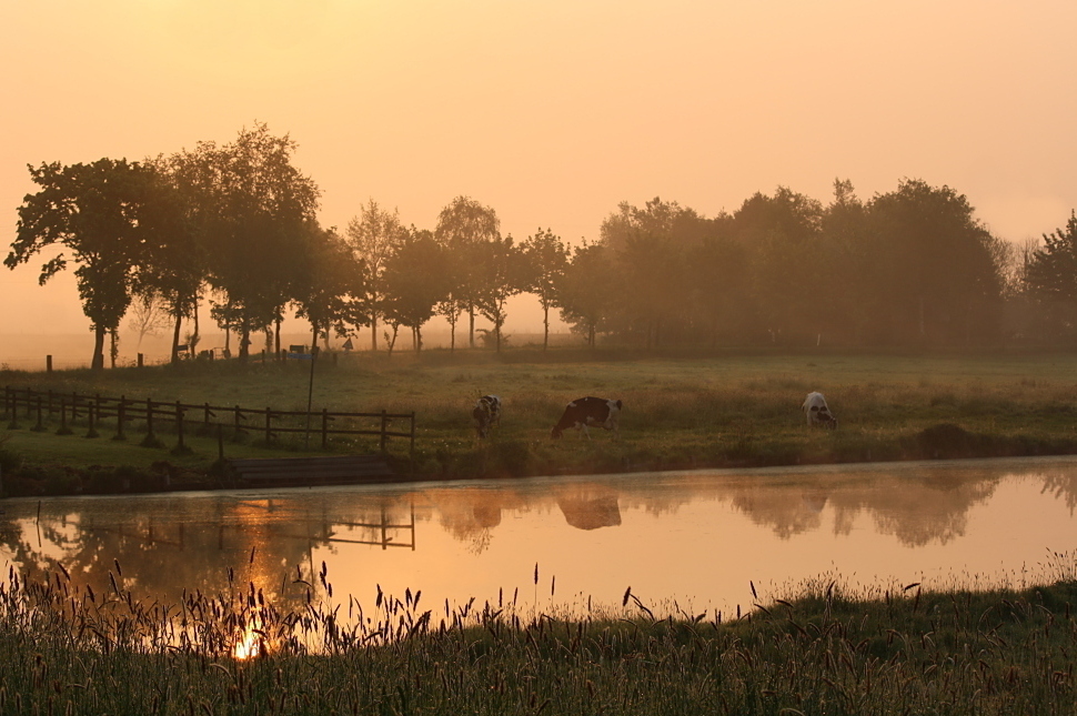 Morgendliche Idylle an der Ollen 2