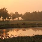 Morgendliche Idylle an der Ollen 2