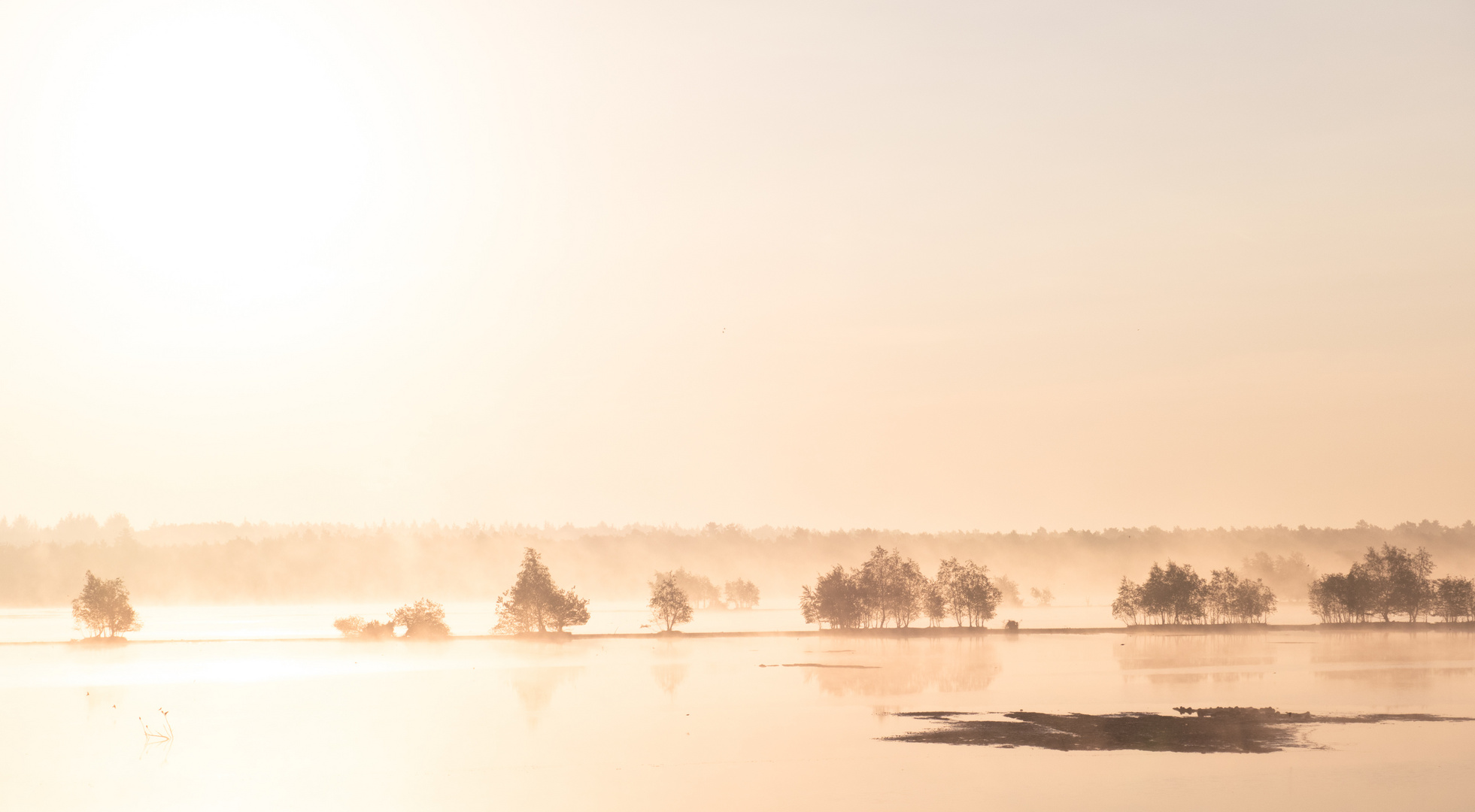 Morgendliche Idylle