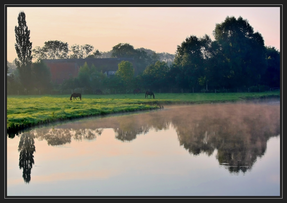 Morgendliche Idylle in der Wesermarsch