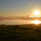 Morgendliche Idylle und Gelassenheit