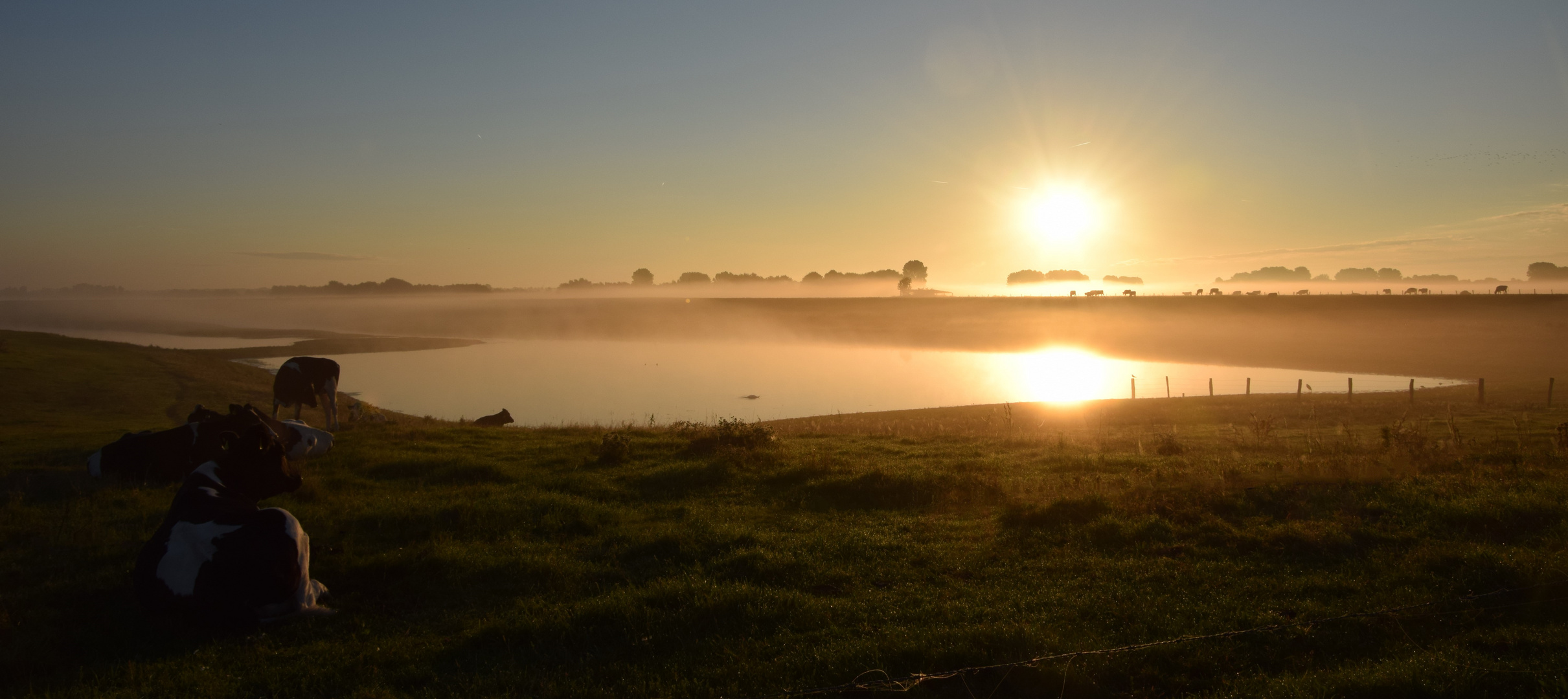 Morgendliche Idylle und Gelassenheit