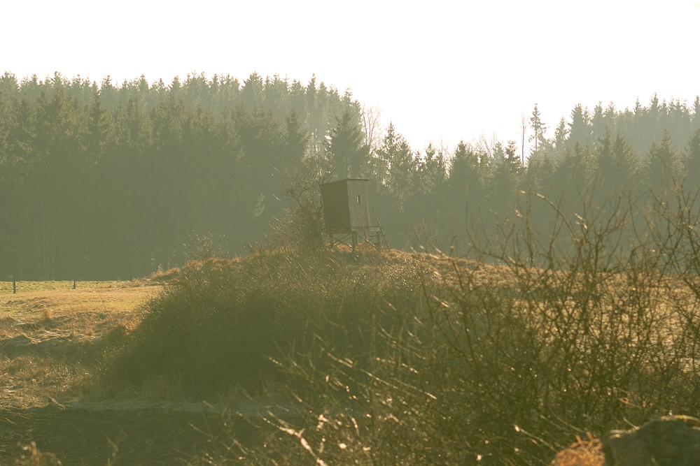 morgendliche Kälte über der Eifel