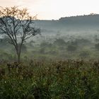 morgendliche Kühle