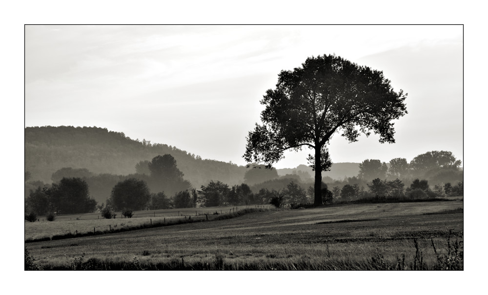 Morgendliche Landschaft