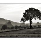 Morgendliche Landschaft