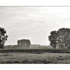 Morgendliche Landschaft II