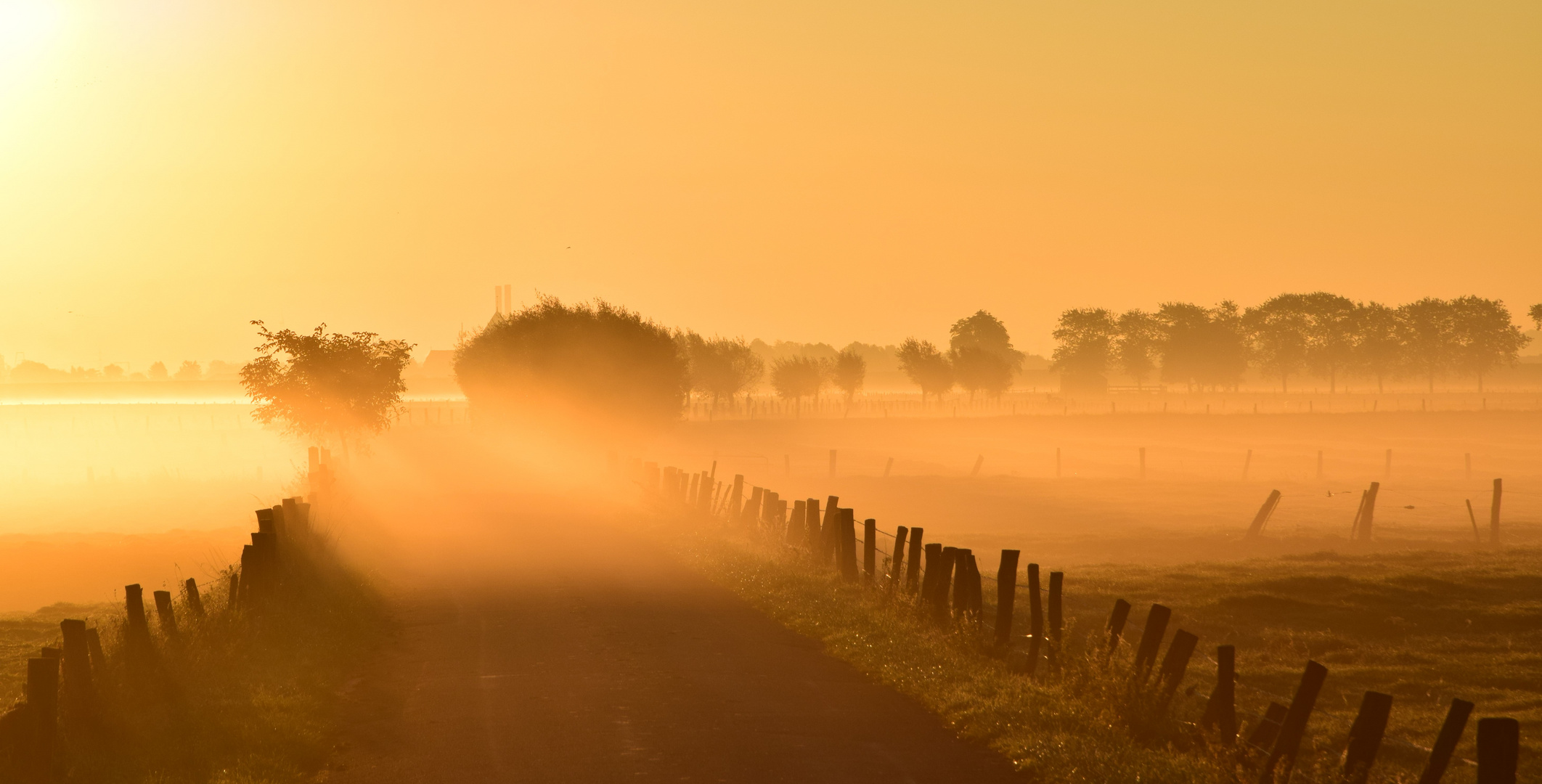 Morgendliche Märchenwelt... 