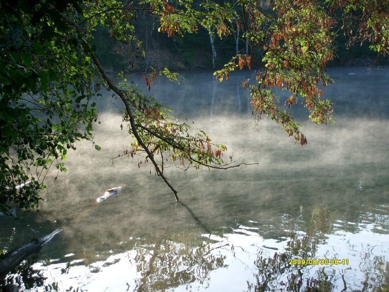 Morgendliche Nebel über dem Kelsterbachersee