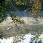 Morgendliche Nebel über dem Kelsterbachersee